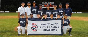 Taney Dragons